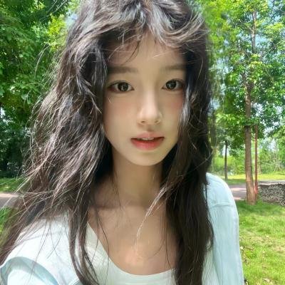 鬣狗之城